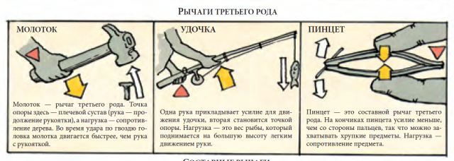 Рычаг какого рода изображен на рисунке тест по физике