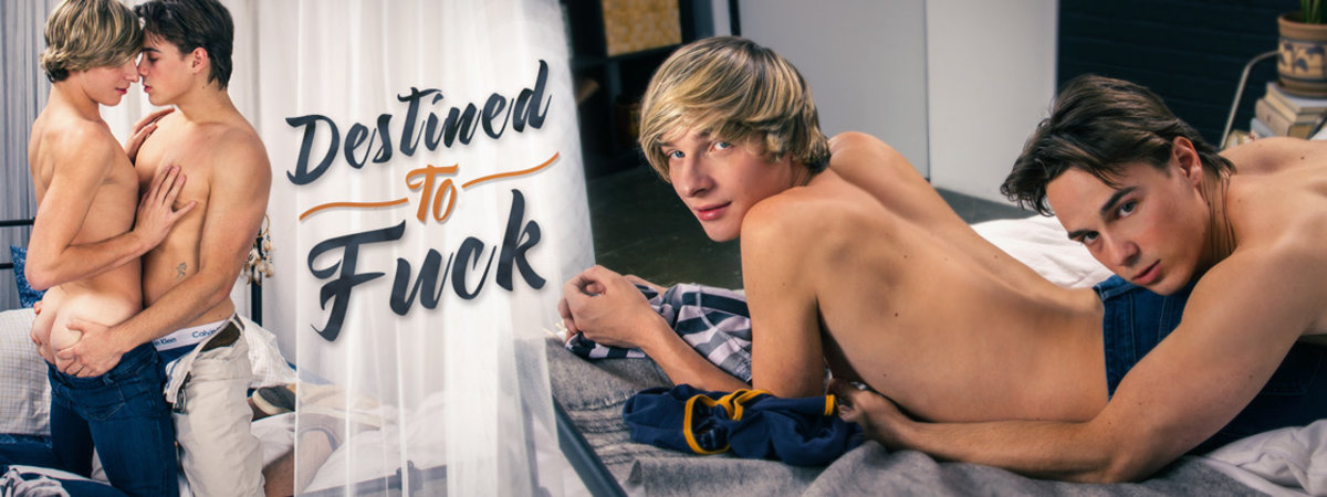 Destined To Fuck / 3815
